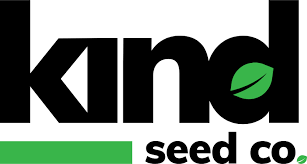 Exploring the Best Weed Seeds Ontario Has to Offer 2 Exploring the Best Weed Seeds Ontario Has to Offer 2