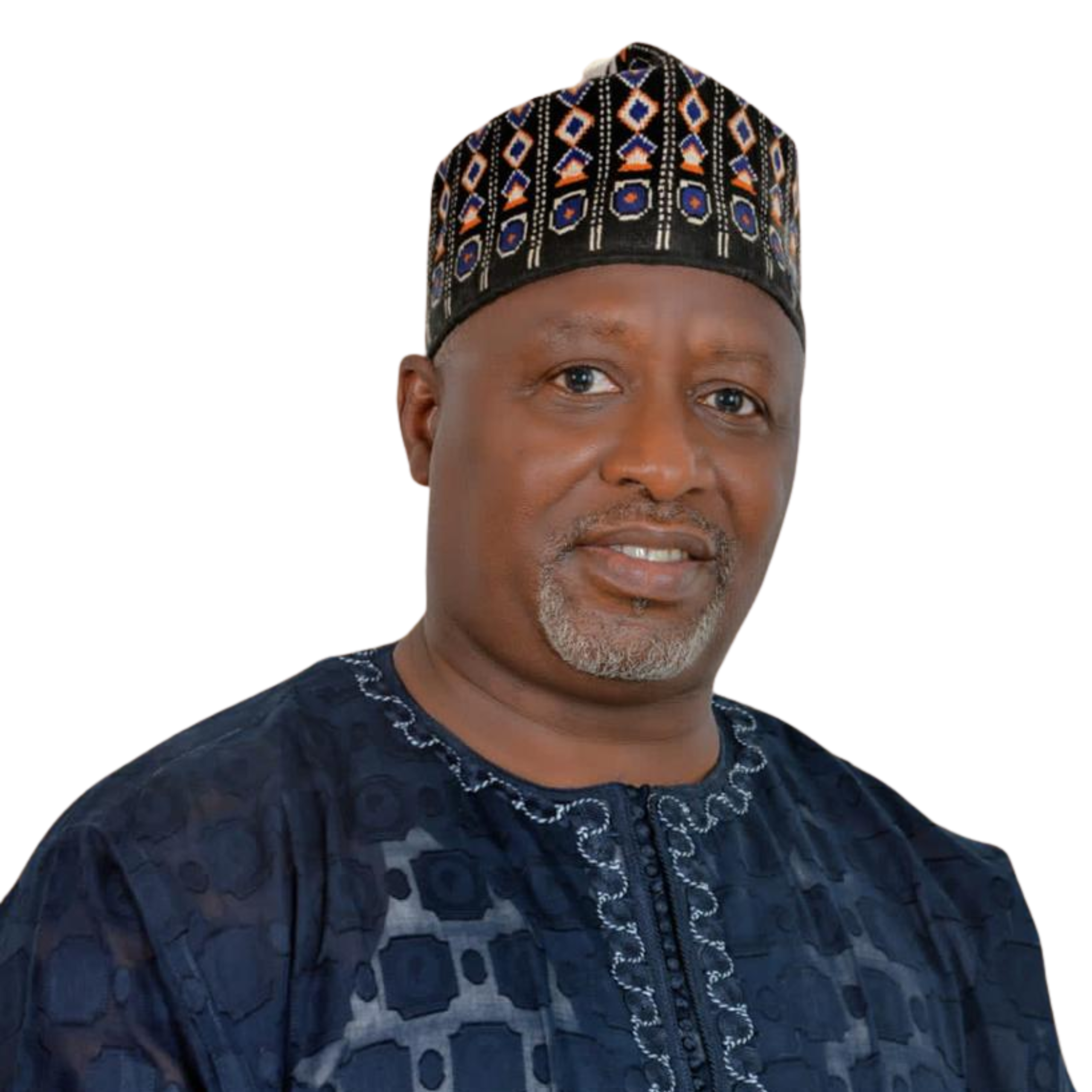 Engr. Prof. Sadiq Z. Abubakar, FNSE
