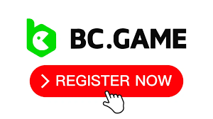 All You Need to Know About BC Game Login