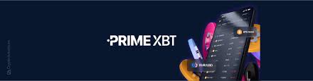 Everything You Need to Know About PrimeXBT
